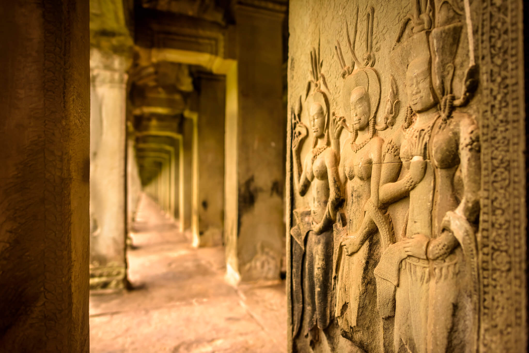 Angkor Wat Cambodia Vietnam Tour multi country tours avatar